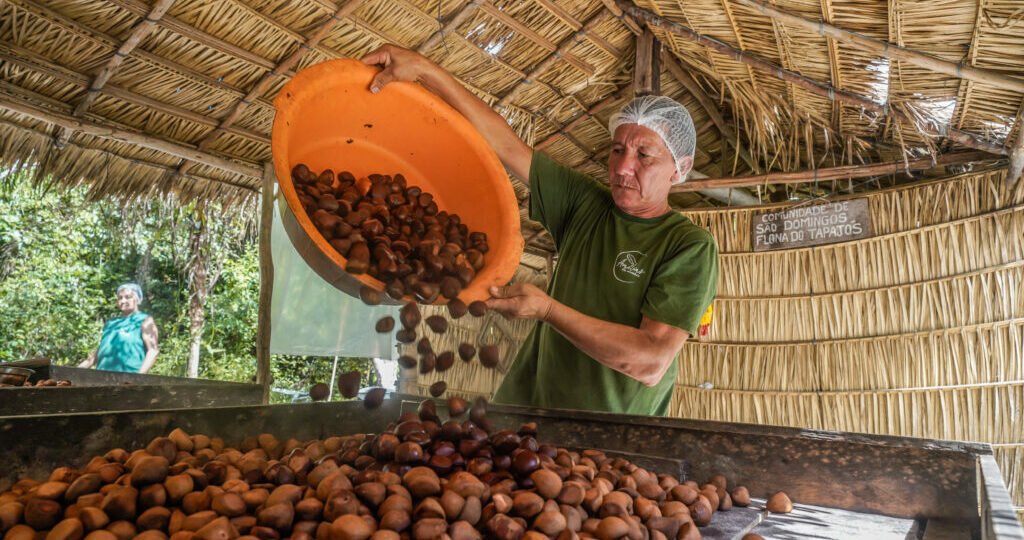 Bioeconomia transforma conservação da natureza em estratégia contra a crise climática