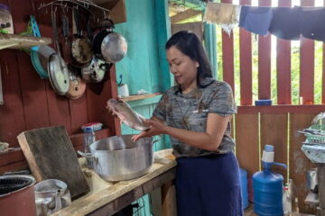 Mercúrio nos peixes muda alimentação de comunidades ribeirinhas na Amazônia
