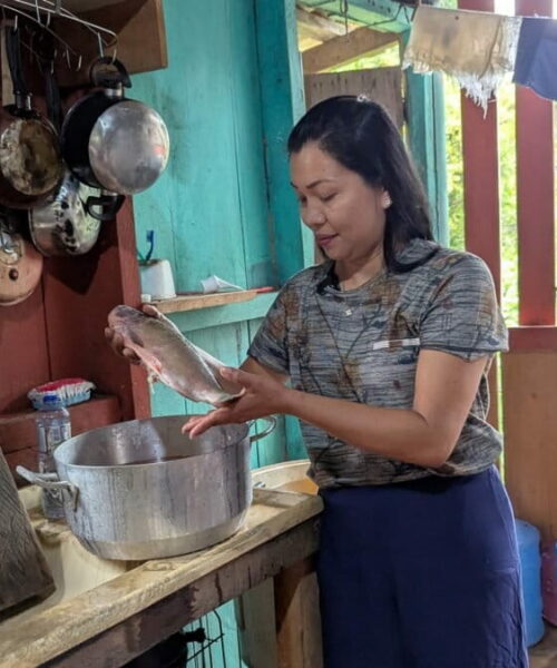 Mercúrio nos peixes muda alimentação de comunidades ribeirinhas na Amazônia