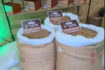 Café do Juruá rompe fronteiras do Acre e cooperativa já reúne mais de 270 produtores