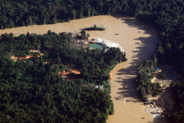 Cientistas usam avanço do garimpo para prever surtos de malária na Amazônia