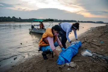 Amazônia precisa se preparar para El Niño potencialmente extremo e risco de seca severa, alertam cientistas
