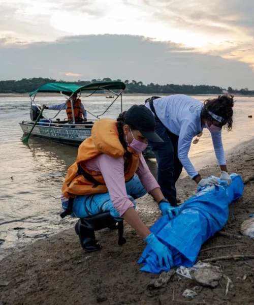 Amazônia precisa se preparar para El Niño potencialmente extremo e risco de seca severa, alertam cientistas