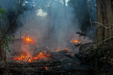 Amazonas pede ajuda federal após focos de calor mais que triplicarem em setembro