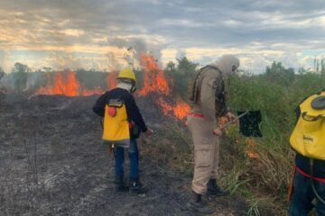Ipaam intensifica fiscalização contra queimadas após avanço do fogo na Região Metropolitana de Manaus