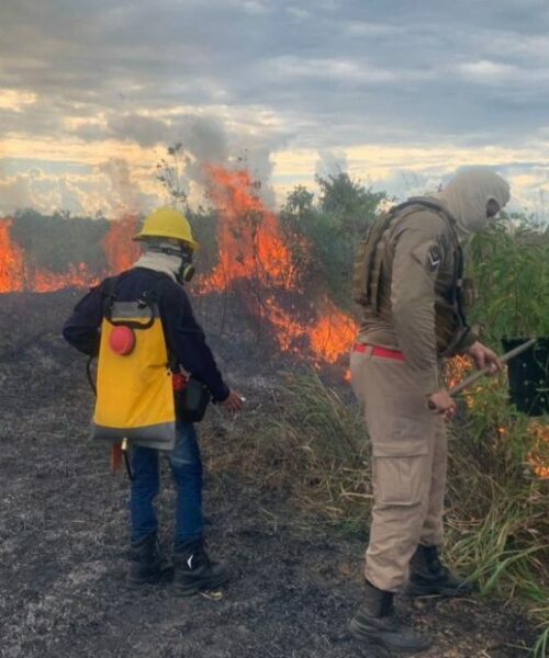 Ipaam intensifica fiscalização contra queimadas após avanço do fogo na Região Metropolitana de Manaus