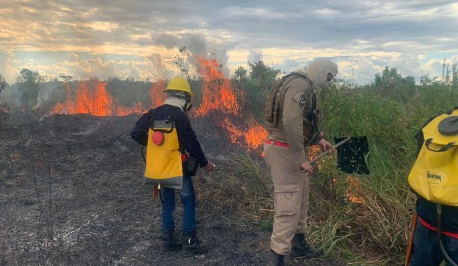 Ipaam intensifica fiscalização contra queimadas após avanço do fogo na Região Metropolitana de Manaus