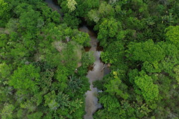 Transição ecológica exige investimentos, mas custo da inação climática também ameaça economia brasileira
