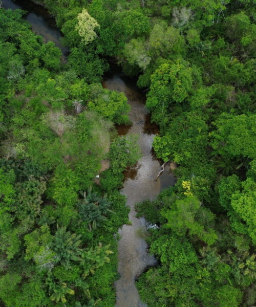 Transição ecológica exige investimentos, mas custo da inação climática também ameaça economia brasileira