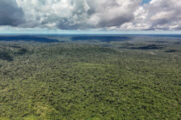 Amazônia é a maior ‘máquina de chuva’ do mundo, mas devastação ameaça funcionamento do sistema