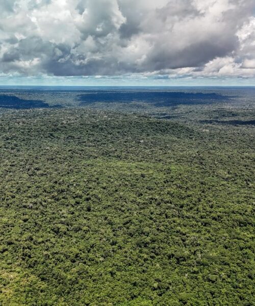 Amazônia é a maior ‘máquina de chuva’ do mundo, mas devastação ameaça funcionamento do sistema