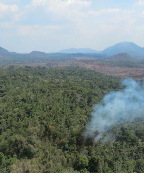 Roraima pode ter chuvas abaixo da média e incêndios mais intensos em 2027 com El Niño
