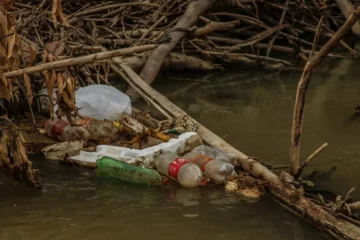Prefeitura lança Cuidar Rio Branco para prevenir alagamentos e recuperar igarapés antes do período de chuvas