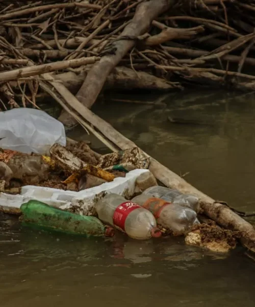 Prefeitura lança Cuidar Rio Branco para prevenir alagamentos e recuperar igarapés antes do período de chuvas