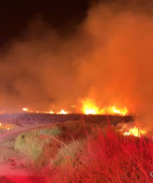 Incêndios de vegetação aumentam 213% no Vale do Juruá e bombeiros registram 72 ocorrências em apenas 12 dias