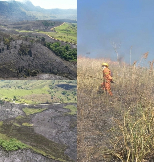 Incêndio destrói 65% de terra indígena em Minas Gerais e deixa mais de 2,5 mil indígenas em situação de emergência