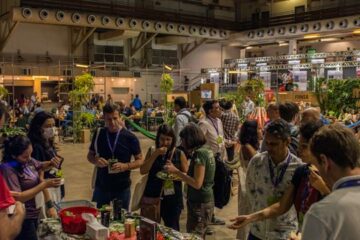 Mais de 80 mulheres que impulsionam a economia sustentável da Amazônia terão destaque no FINSA 2026