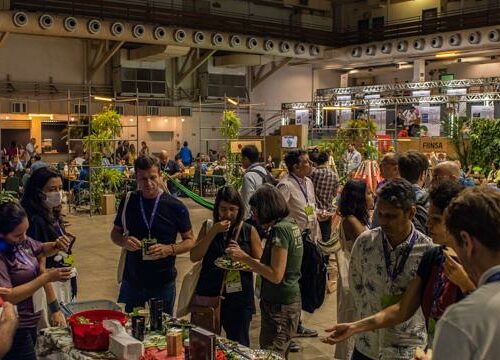 Mais de 80 mulheres que impulsionam a economia sustentável da Amazônia terão destaque no FINSA 2026