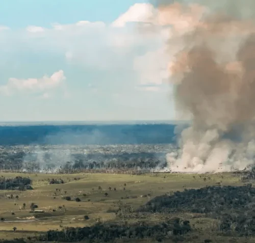 Incêndios avançam no oeste do Pará e deixam ar de Santarém em nível muito insalubre
