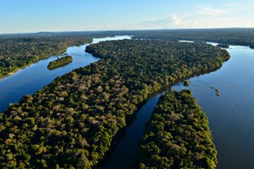 Desmatamento em áreas protegidas da Amazônia cai 17% e atinge menor nível desde 2008