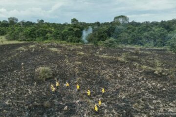 ICMBio reforça prevenção contra incêndios em unidades de conservação na região de Santarém