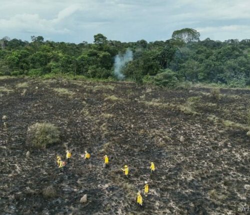 ICMBio reforça prevenção contra incêndios em unidades de conservação na região de Santarém