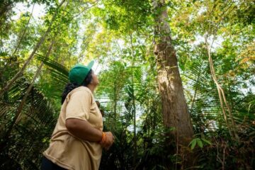 Formação gratuita vai capacitar jornalistas da Amazônia em ciência, mudanças climáticas e restauração florestal