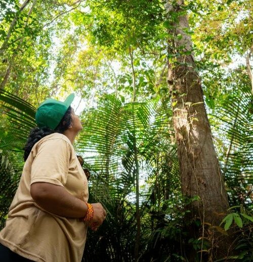 Formação gratuita vai capacitar jornalistas da Amazônia em ciência, mudanças climáticas e restauração florestal