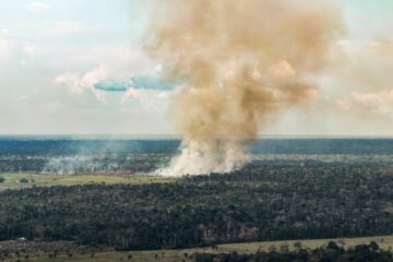 Emissões de gases de efeito estufa no Brasil caem ao menor nível desde 2012, aponta levantamento