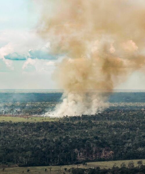 Emissões de gases de efeito estufa no Brasil caem ao menor nível desde 2012, aponta levantamento