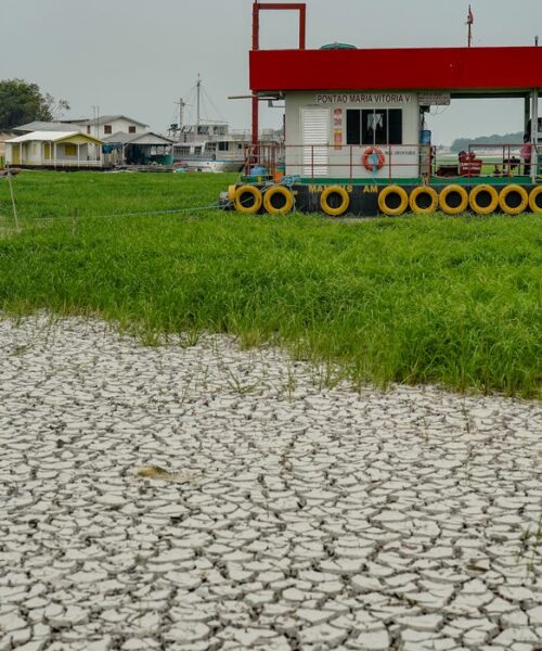 Campanha quer arrecadar 23 toneladas de alimentos para comunidades afetadas pela seca no Amazonas